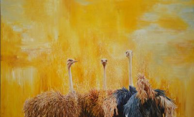 ����ϵ��-150x250cm-2012��