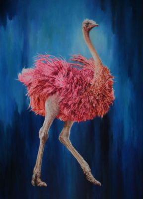 ����ϵ��-223x160cm-2014��